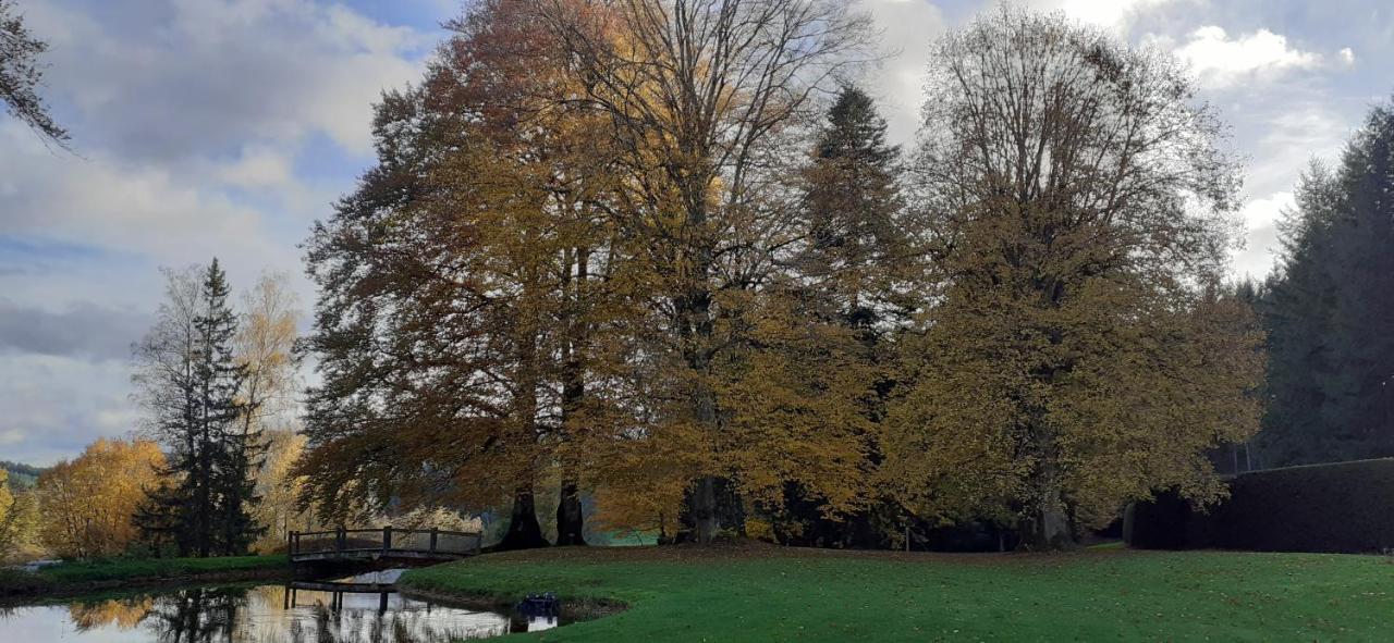 Celles-Sur-Durolle Domaine De Marchal - Chambres Et Table D'Hotes المظهر الخارجي الصورة